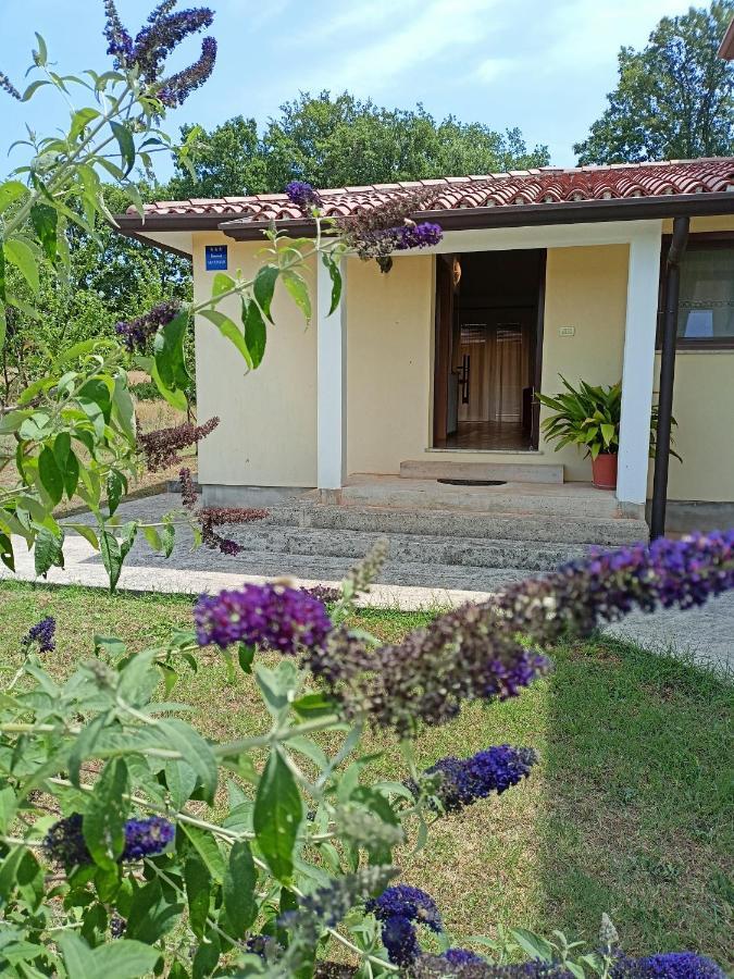 Apartment Studio Ta-Ti Umag Bagian luar foto